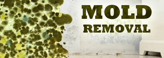 Molds Removal